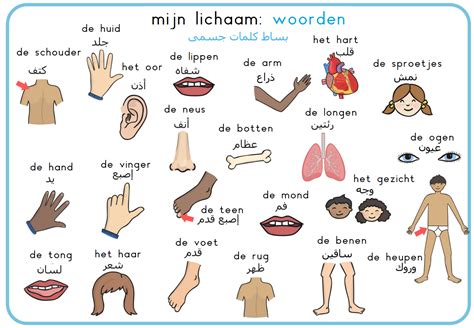 nederlands duits vertalen oefenen